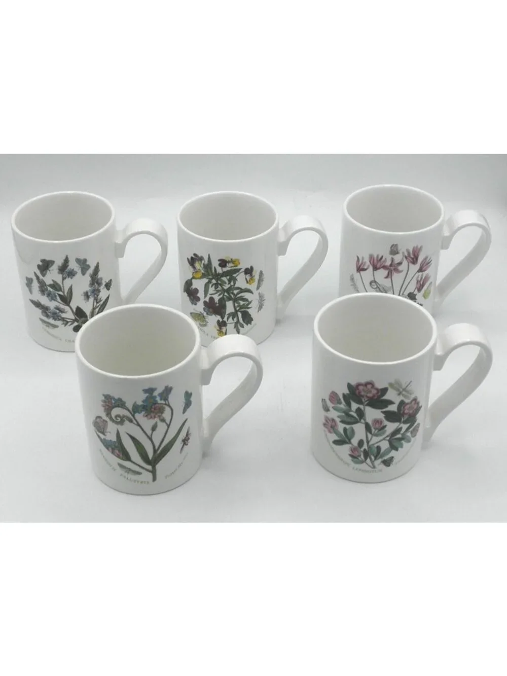 Portmeirion Botanic Garden 12 Ounce Mugs Set of 5 Assorted Pattern Code: PRTBOG